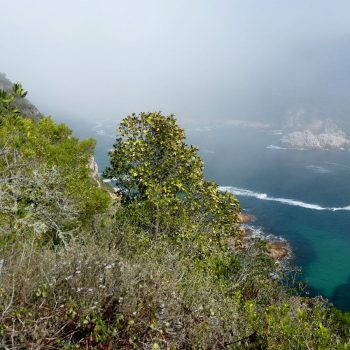 Knysna Heads